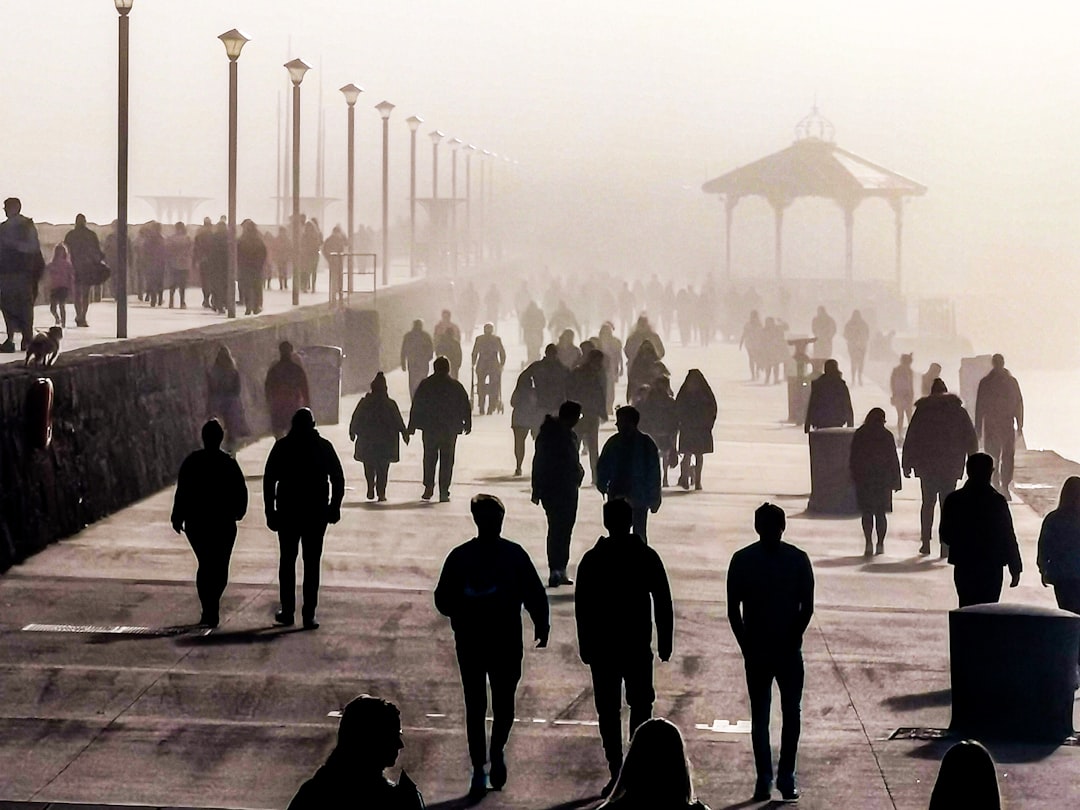 Walk on the dock in the fog looks apocalyptic